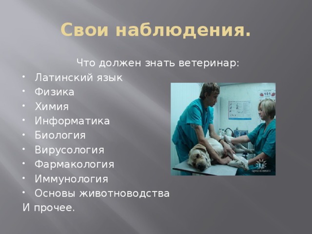 Что надо сдавать на врача после 11. Какой предмет должен знать ветеринар. Что нужно знать ветеринару. Что должен уметь ветеринар.