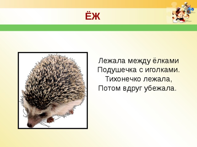 Спиши загадку. Лежала между елками подушечка с иголками. Лежала между ёлками подушечка. Лежала между ёлками подушечка с иголками тихонечко лежала потом. Лежала между елками.