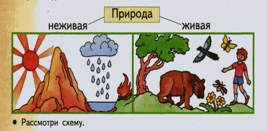 Табиғат суреттері картинка