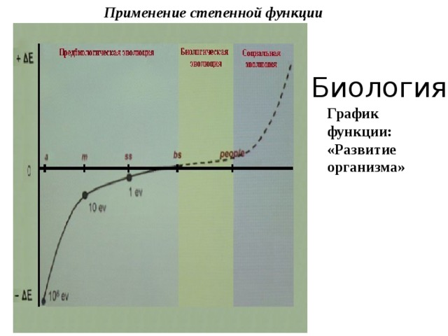 Функция развита. Развитие организма функция график. Графики в биологии. График биология. Применение функции в биологии.