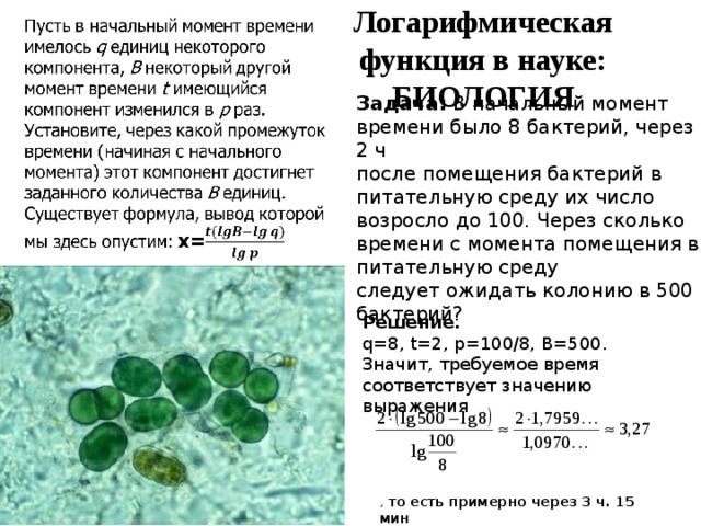 Логарифмическая функция в науке: БИОЛОГИЯ   Задача: В начальный момент времени было 8 бактерий, через 2 ч после помещения бактерий в питательную среду их число возросло до 100. Через сколько времени с момента помещения в питательную среду следует ожидать колонию в 500 бактерий? Решение. q=8, t=2, p=100/8, B=500. Значит, требуемое время соответствует значению выражения , то есть примерно через 3 ч. 15 мин 