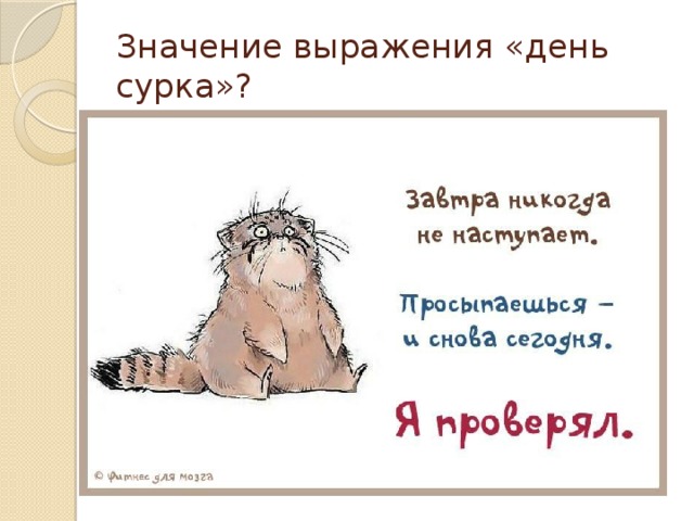 Значение выражения «день сурка»?