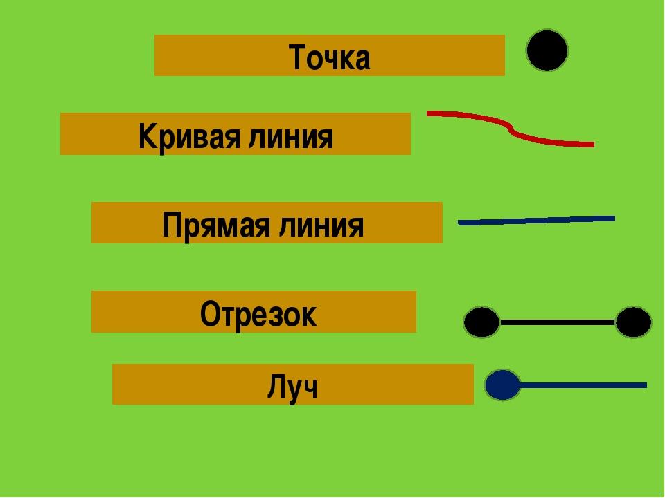 Точки и прямые презентация