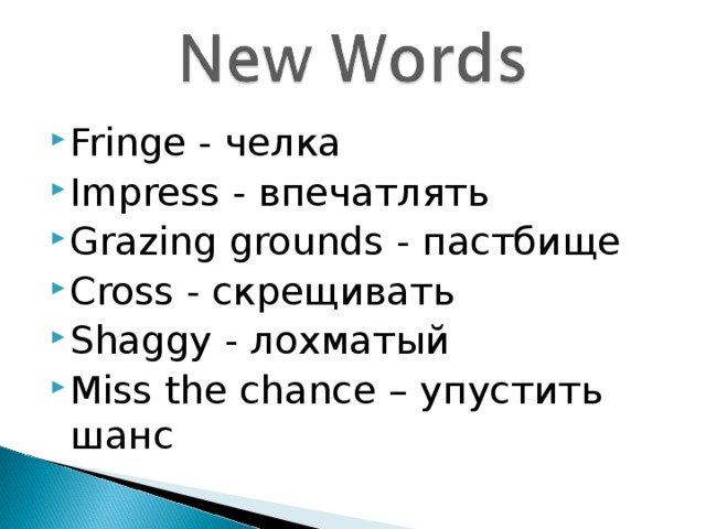 Fringe - челка Impress - впечатлять Grazing grounds - пастбище Cross - скрещивать Shaggy - лохматый Miss the chance – упустить шанс 