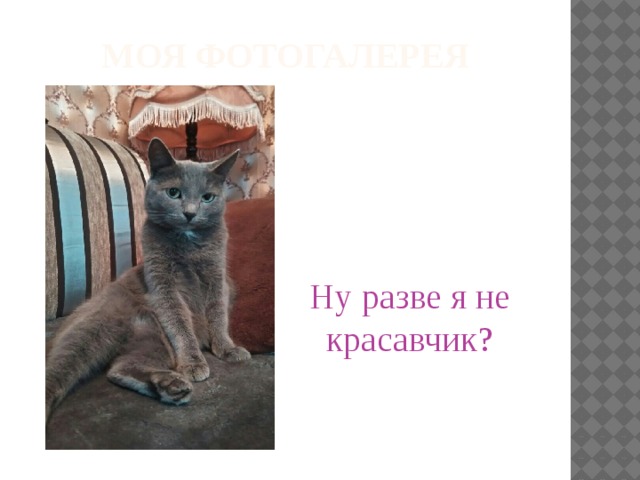 Моя фотогалерея Ну разве я не красавчик? 