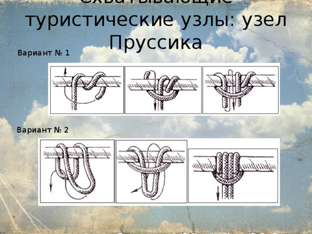 Какой это тип узла. Туристические узлы. Основные туристические узлы. Узлы ОБЖ. Туристические узлы схемы.