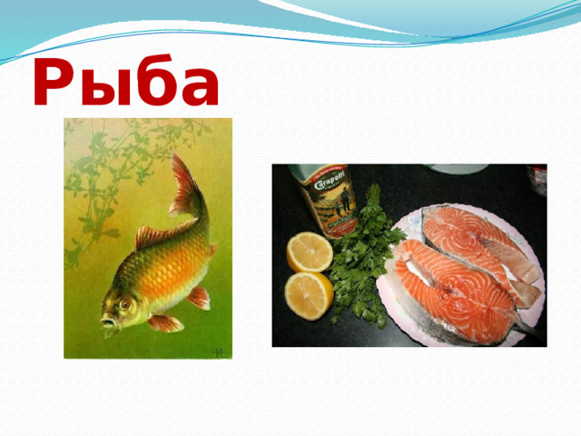 Рыба 