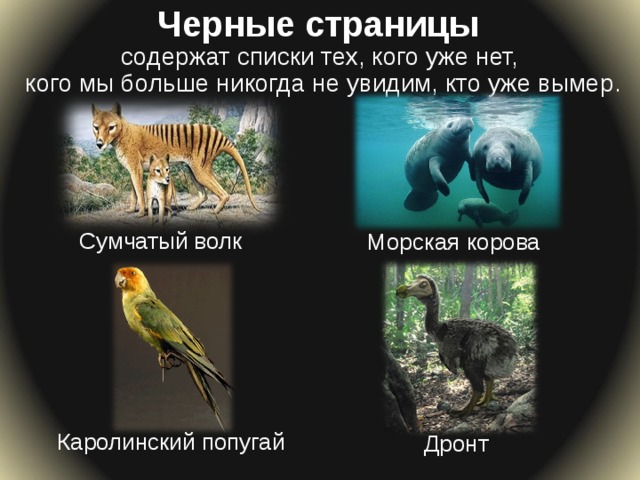 [PUNIQRANDLINE-(au-dating-names.txt) 39 Доклад растения черной страницы красной книги 8781
