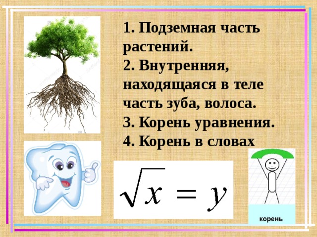 Растительный корень слова. Корень подземная часть растения. Что такое корень в математике. Что такое корень в математике 5 класс. Что такое корень в математике 6 класс.
