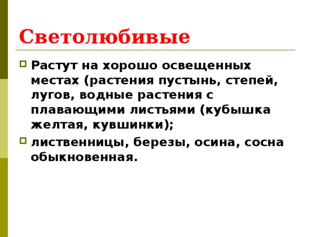 Светолюбивые Растут на хорошо освещенных местах (растения пустынь, степей, лугов, водные растения с плавающими листьями (кубышка желтая, кувшинки); лиственницы, березы, осина, сосна обыкновенная. 