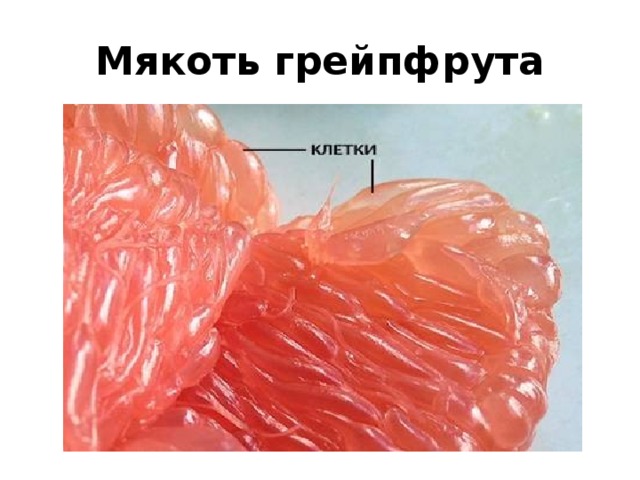 Мякоть грейпфрута 