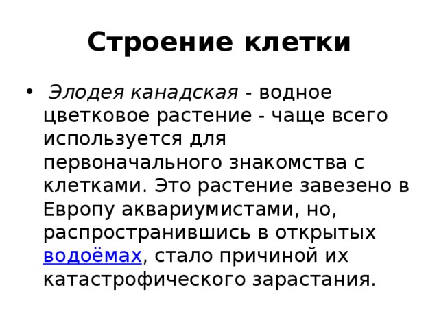 Строение клетки  Элодея канадская - водное цветковое растение - чаще всего используется для первоначального знакомства с клетками. Это растение завезено в Европу аквариумистами, но, распространившись в открытых  водоёмах , стало причиной их катастрофического зарастания. 