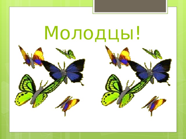 Молодцы! 