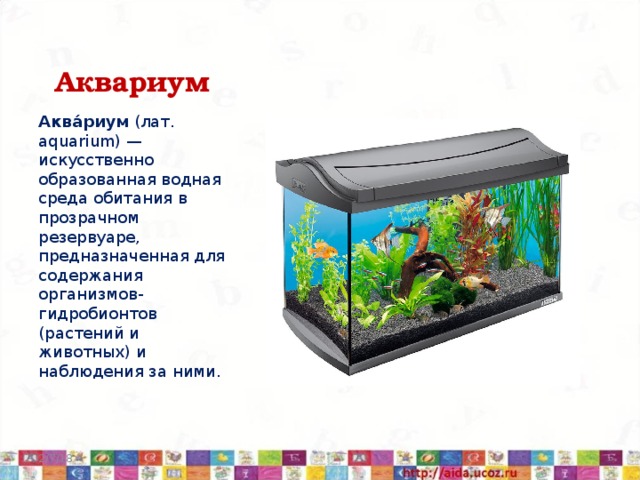 Аквариум Аква́риум  (лат. aquarium) — искусственно образованная водная среда обитания в прозрачном резервуаре, предназначенная для содержания организмов-гидробионтов (растений и животных) и наблюдения за ними. 2/7/18  