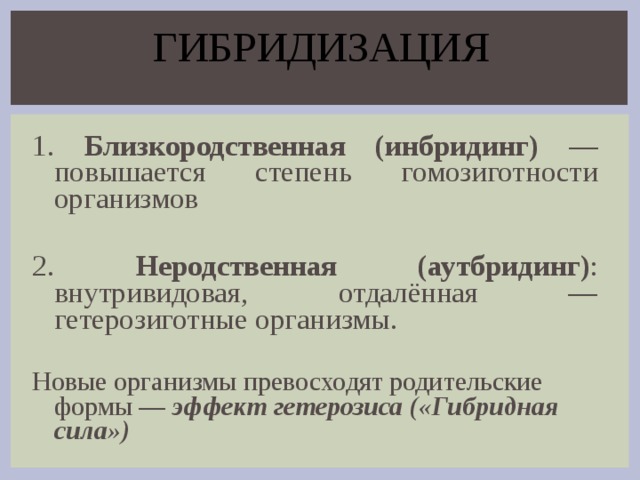 Значение близкородственного скрещивания проект