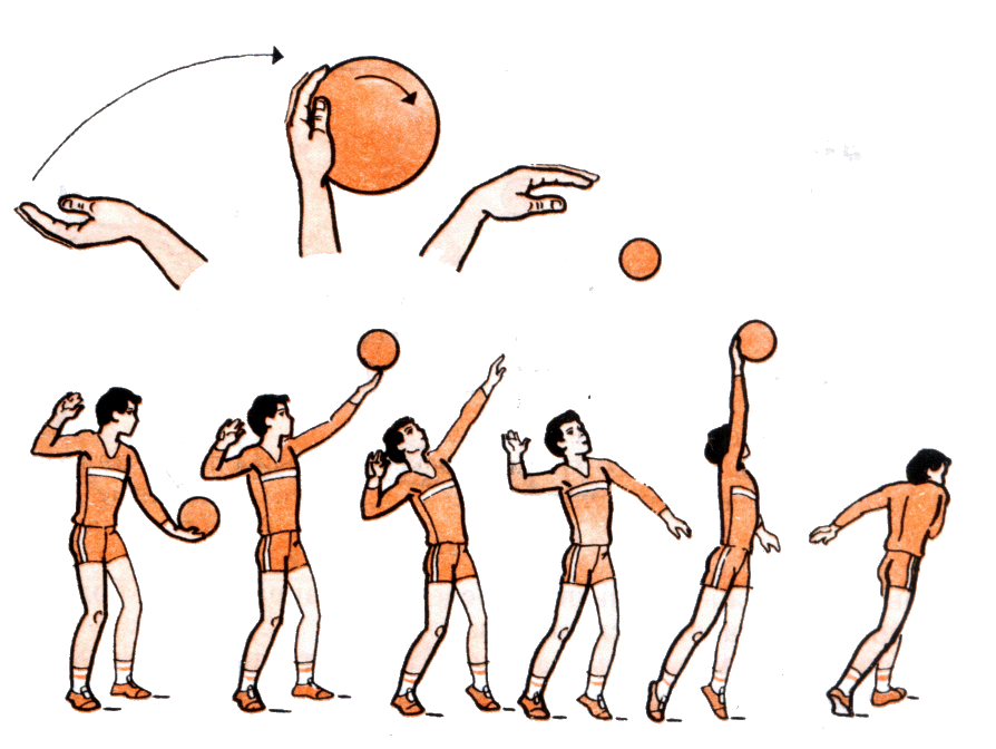 Крученая подача в волейболе. Техника верхней подачи мяча в волейболе. Крученая подача мяча в волейболе. Техника игры в волейбол подача мяча. Как правильно кидать мяч