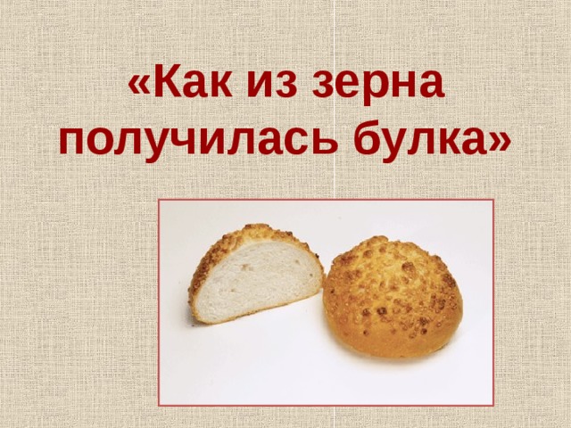 «Как из зерна получилась булка» 