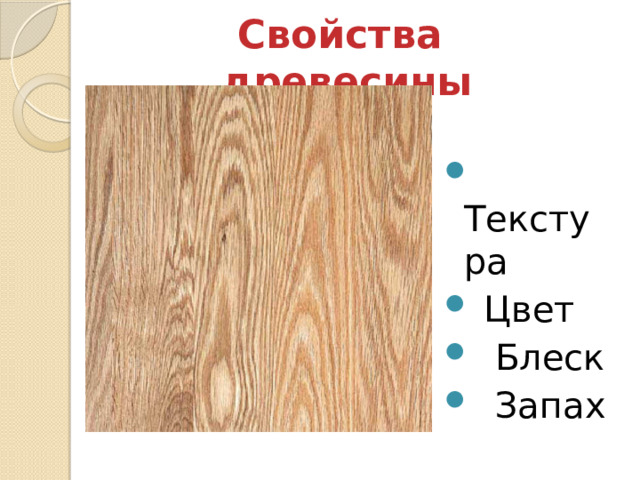 Свойства древесины  Текстура  Цвет  Блеск  Запах 