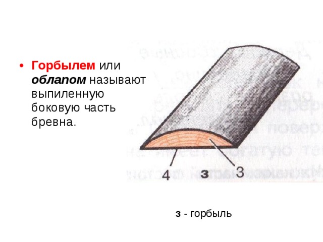 Доска из боковой части бревна 6 букв