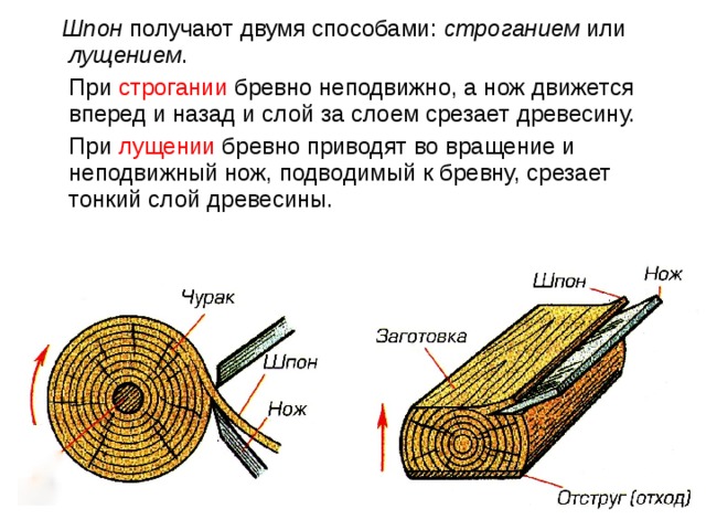 Получение древесины. Схема получения лущеного шпона. Схема получения Строгонова шпона. Схема получения строганного шпона. Схема получения строгального шпона.