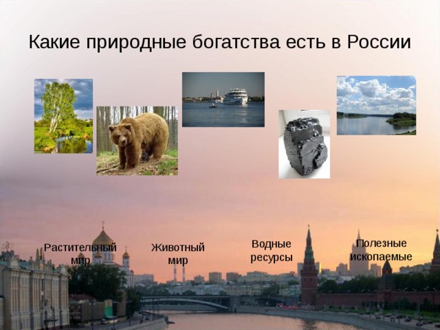 Какие природные богатства есть в России Полезные ископаемые Водные ресурсы Растительный мир Животный мир 