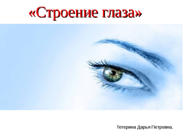 «Строение глаза» Тетерина Дарья Петровна. 