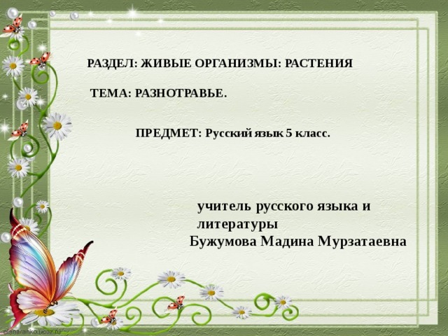 РАЗДЕЛ: ЖИВЫЕ ОРГАНИЗМЫ: РАСТЕНИЯ   ТЕМА: РАЗНОТРАВЬЕ.  ПРЕДМЕТ: Русский язык 5 класс.   учитель русского языка и  литературы Бужумова Мадина Мурзатаевна