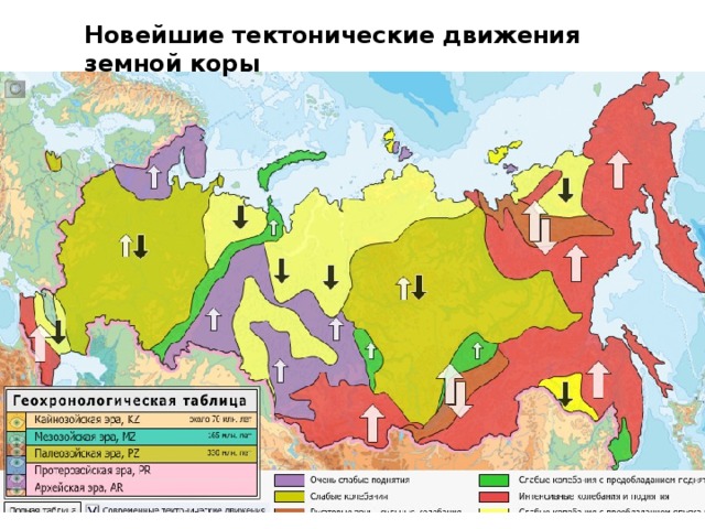 Новейшие тектонические движения земной коры 