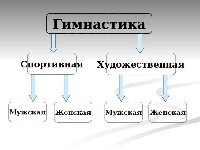 Гимнастика Спортивная Художественная Мужская Женская Мужская Женская 