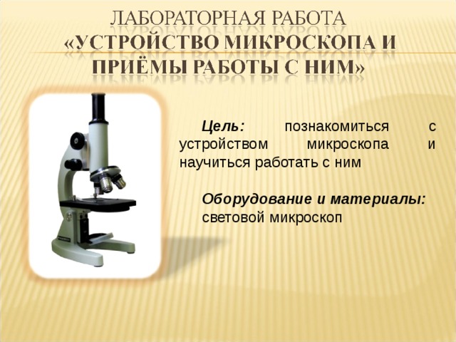 Цель: познакомиться с устройством микроскопа и научиться работать с ним  Оборудование и материалы:  световой микроскоп