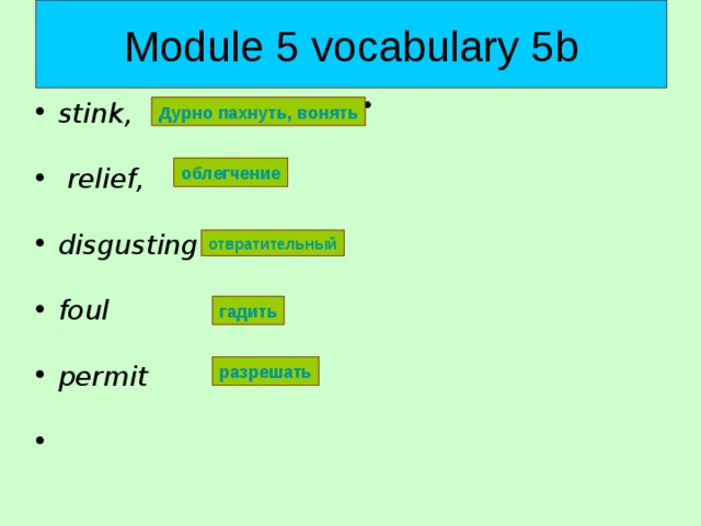 Spotlight 7 module 9 a презентация