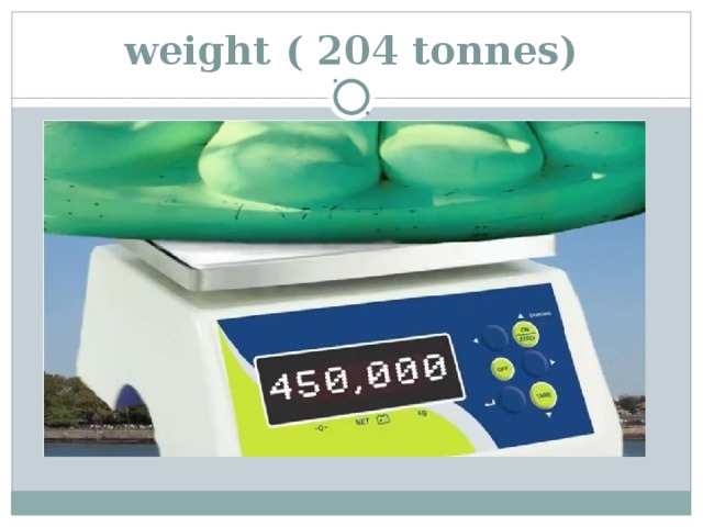 weight ( 204 tonnes)