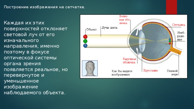 Увеличенное и уменьшенное изображение