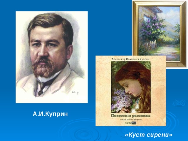 А.И.Куприн «Куст сирени» 