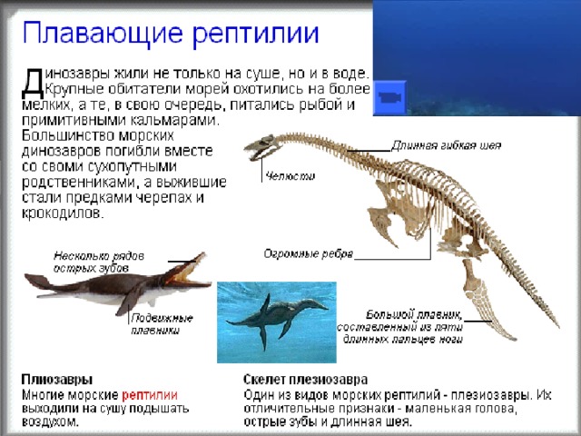 Разнообразие древних пресмыкающихся проект