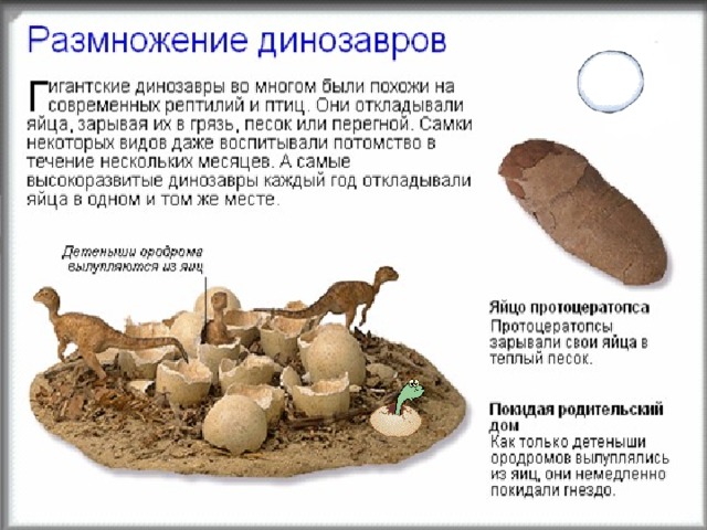 Как размножались динозавры картинки