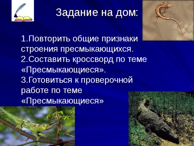 Задание на дом:   1.Повторить общие признаки строения пресмыкающихся. 2.Составить кроссворд по теме «Пресмыкающиеся». 3.Готовиться к проверочной работе по теме «Пресмыкающиеся» 