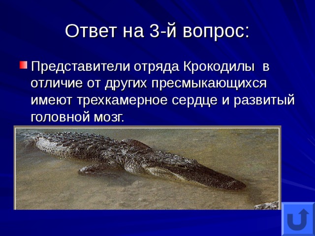 Ответ на 3-й вопрос: Представители отряда Крокодилы в отличие от других пресмыкающихся имеют трехкамерное сердце и развитый головной мозг. 