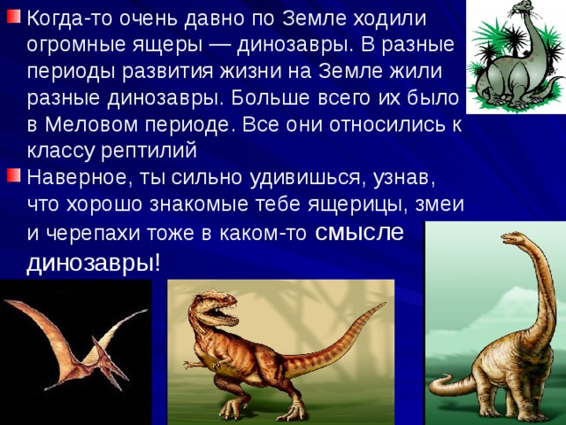Когда-то очень давно по Земле ходили огромные ящеры — динозавры. В разные периоды развития жизни на Земле жили разные динозавры. Больше всего их было в Меловом периоде. Все они относились к классу рептилий Наверное, ты сильно удивишься, узнав, что хорошо знакомые тебе ящерицы, змеи и черепахи тоже в каком-то смысле динозавры!   