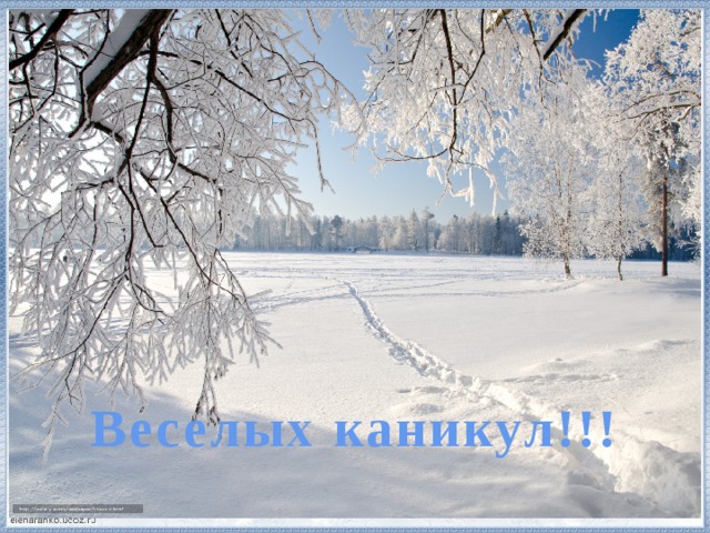 Веселых каникул!!! 