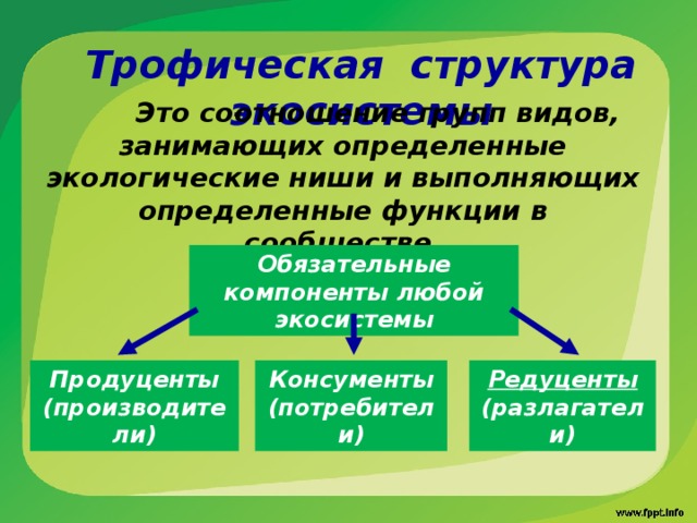 Трофическая структура экосистемы  Это соотношение групп видов, занимающих определенные экологические ниши и выполняющих определенные функции в сообществе. Обязательные  компоненты любой экосистемы Продуценты (производители) Консументы (потребители) Редуценты (разлагатели) 