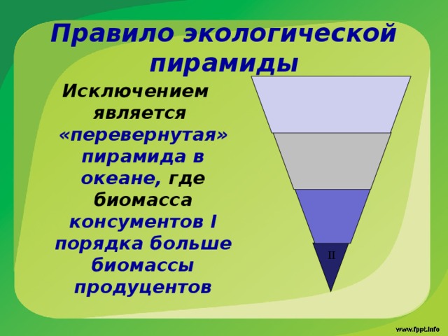 II  Правило экологической пирамиды   Исключением является «перевернутая» пирамида в океане, где биомасса консументов I порядка больше биомассы продуцентов  