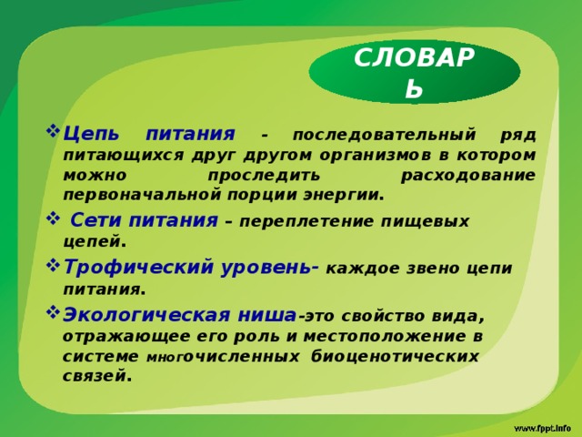 СЛОВАРЬ Цепь питания - последовательный ряд питающихся друг другом организмов в котором можно проследить расходование первоначальной порции энергии.  Сети питания – переплетение пищевых цепей. Трофический уровень- каждое звено цепи питания. Экологическая ниша -это свойство вида, отражающее его роль и местоположение в системе мног очисленных биоценотических связей.  