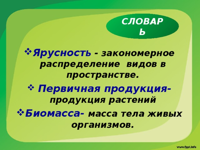 СЛОВАРЬ Ярусност Ь - закономерное распределение видов в пространстве.  Первичная продукция- продукция растений Биомасса-  масса тела живых организмов. 