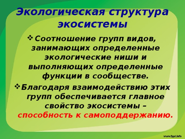 Экологическая структура экосистемы Соотношение групп видов, занимающих определенные экологические ниши и выполняющих определенные функции в сообществе. Благодаря взаимодействию этих групп обеспечивается главное свойство экосистемы – способность к самоподдержанию. 