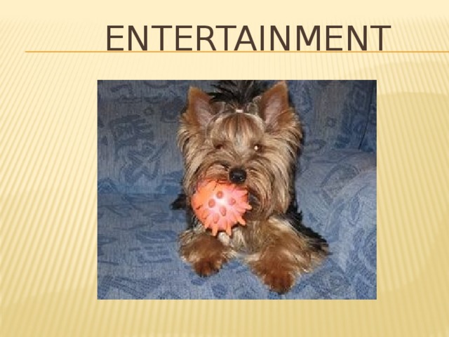  Entertainment 