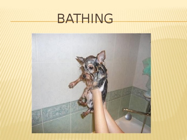  Bathing 