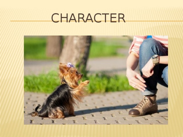  Character 