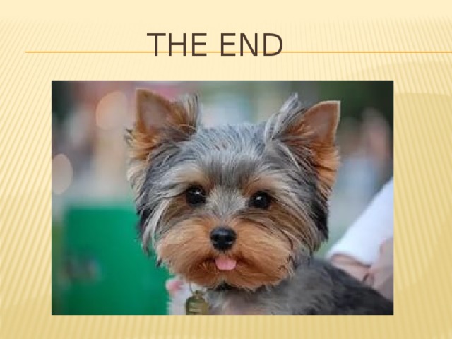  The end 