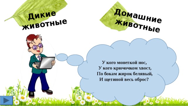 Дикие животные Домашние животные  У кого монеткой нос,   У кого крючочком хвост,  По бокам жирок белявый,  И щетиной весь оброс?  